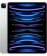 iPad Pro 12,9'' 1Тb, серебристый, только Wi-Fi, 2022